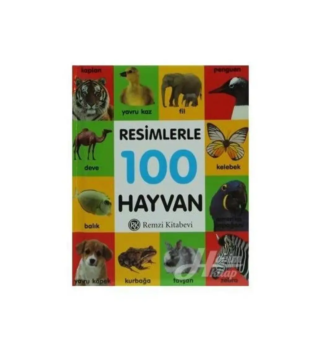 Resimlerle 100 Hayvan (Küçük Boy)