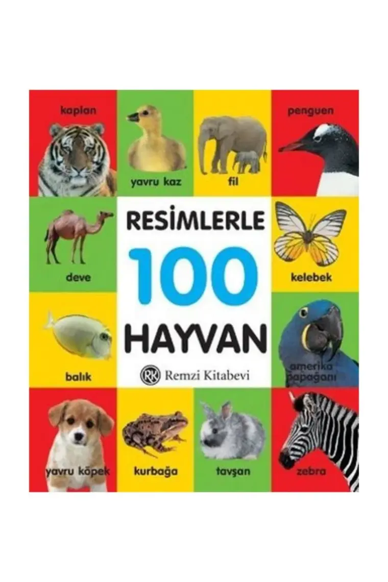 Resimlerle 100 Hayvan (Küçük Boy)