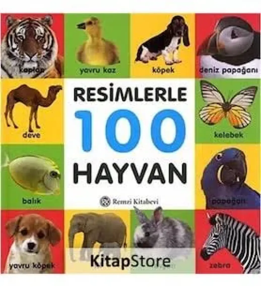 Resimlerle 100 Hayvan (Küçük Boy)