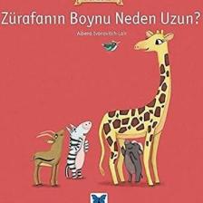 Zürafanın Boynu Neden Uzun? - Yazar Albena Ivanovitch Lair