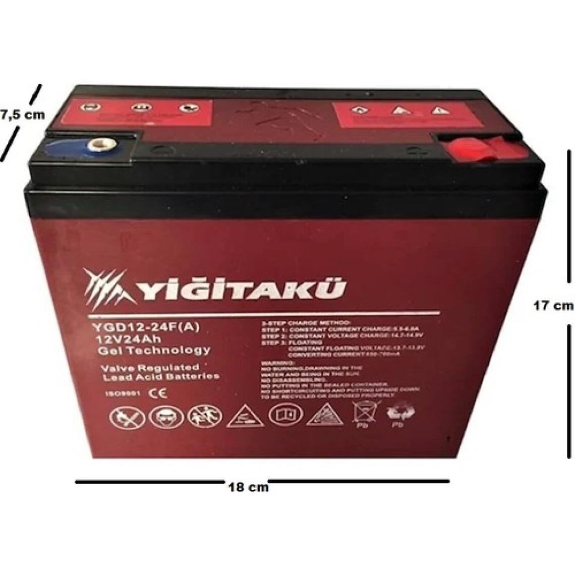 Yiğit Akü 12 V 24 Ah Jel Elektrikli Motosiklet Aküsü (Üretim Yılı: 2024)