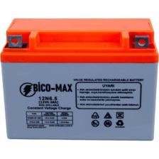 Bico-Max 12N6.5 Benzinli Motor Aküsü