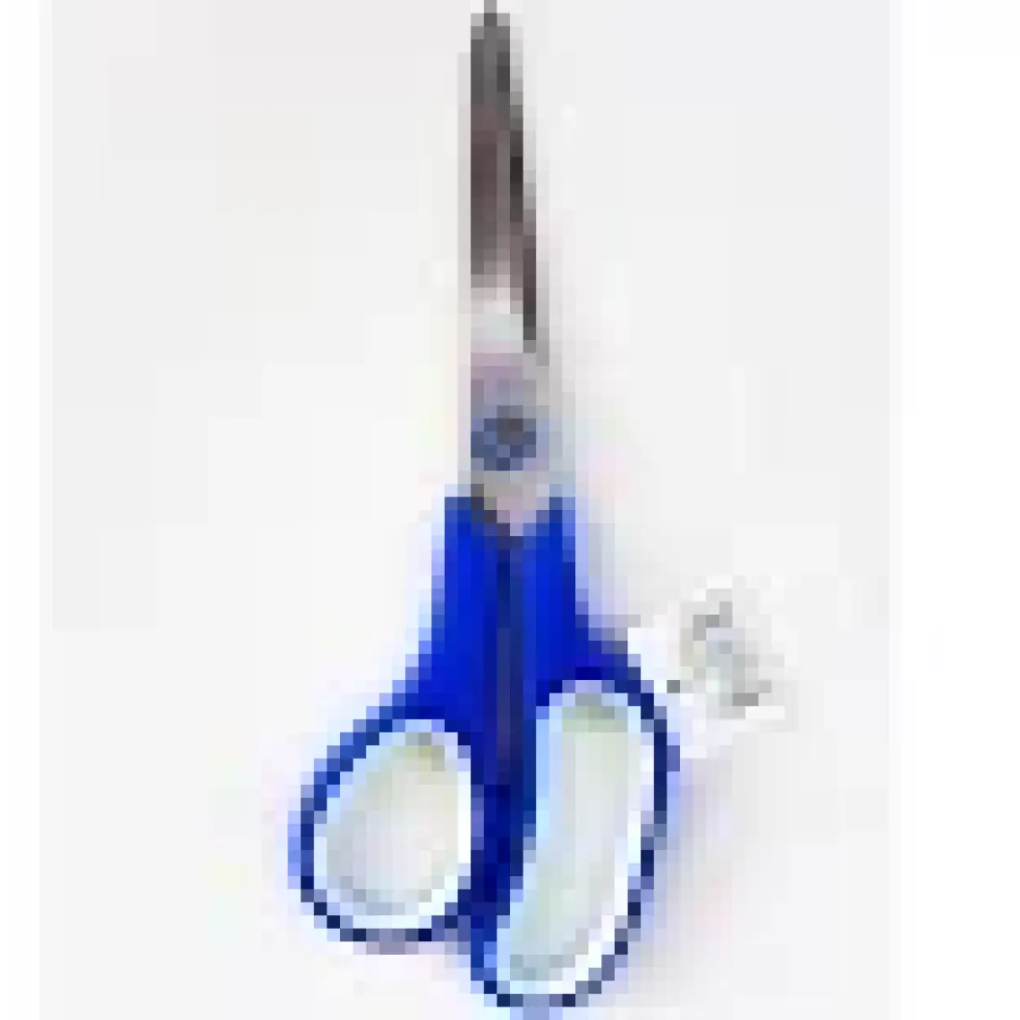 Inox Plastik Saplı Ofis Makası 9.5"
