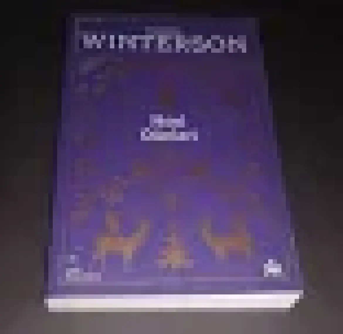 Noel Günleri - Jeanette Winterson