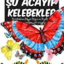 Şu Acayip Kelebekler - Tarık Uslu