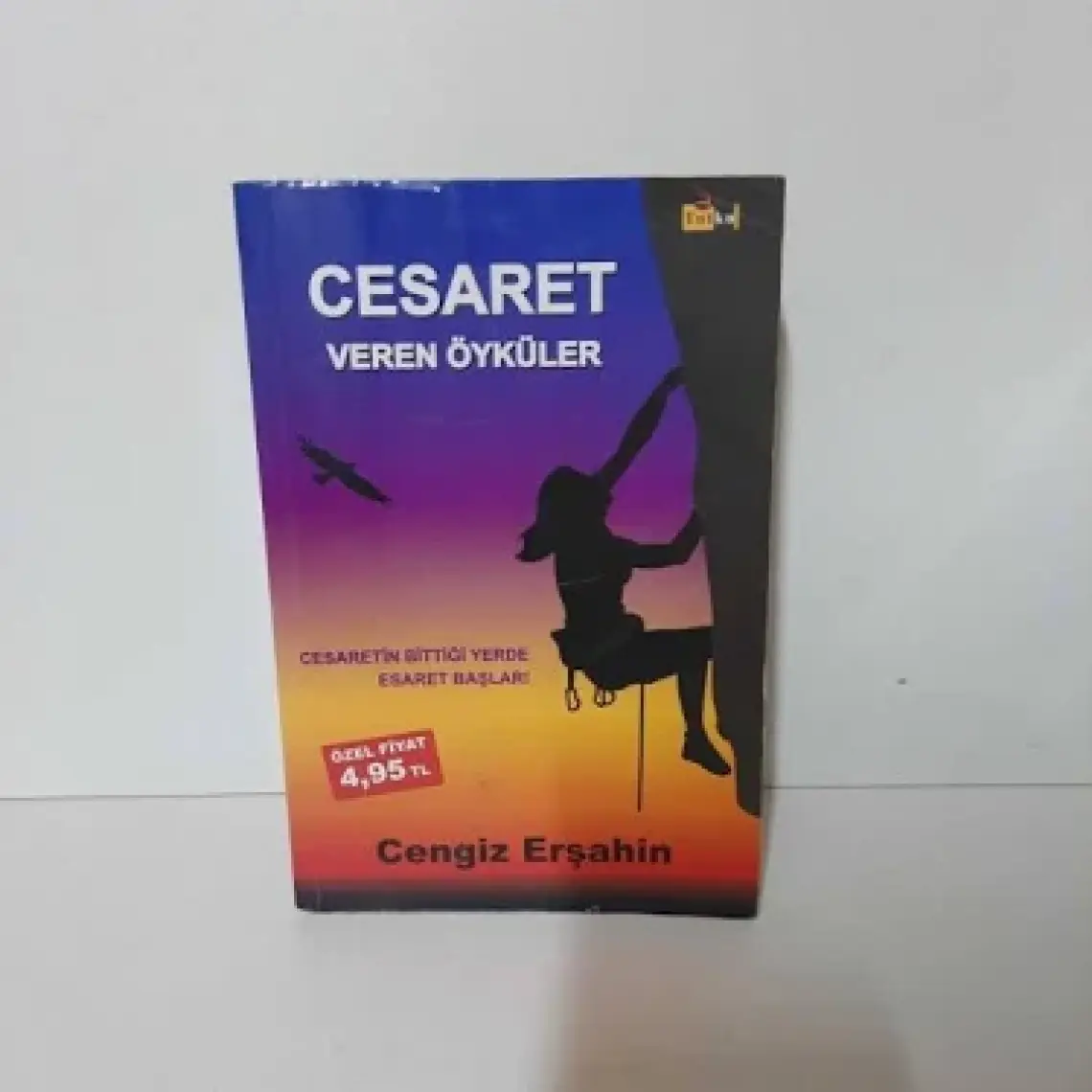 Cesaret Veren Öyküler - Cengiz Erşahin