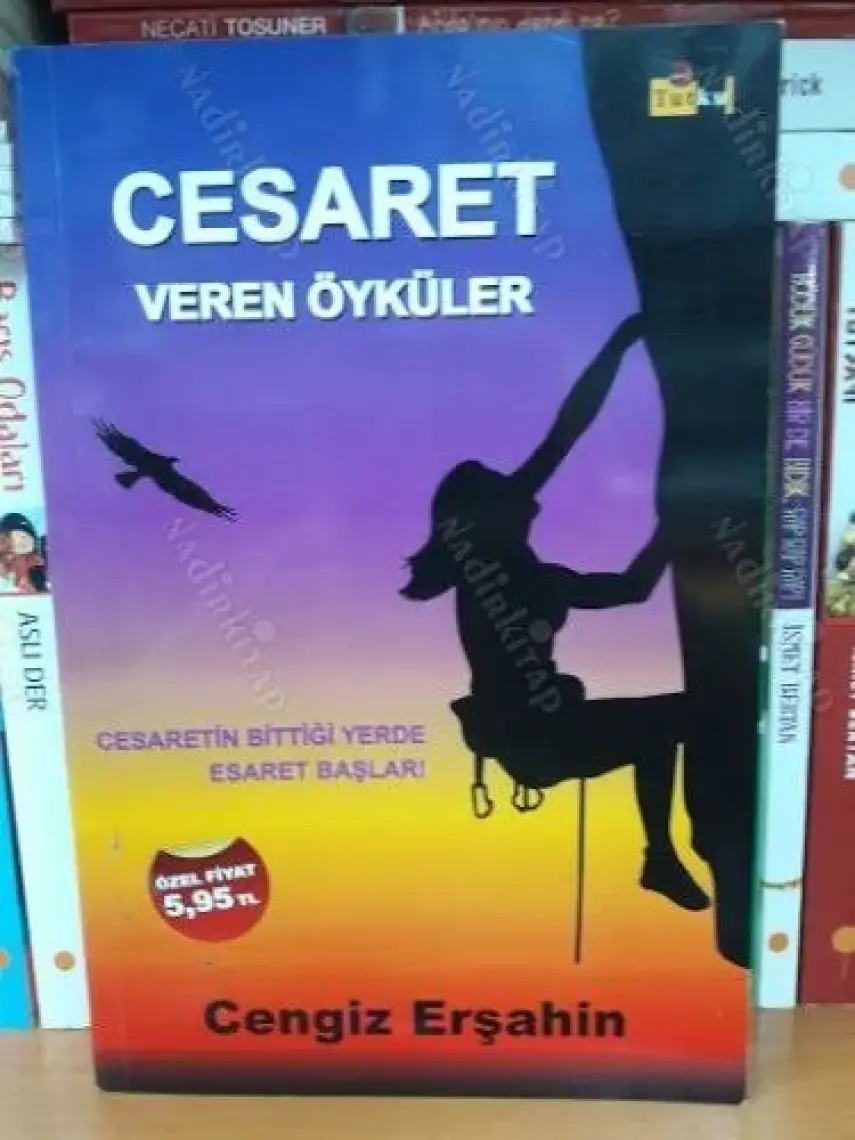 Cesaret Veren Öyküler - Cengiz Erşahin