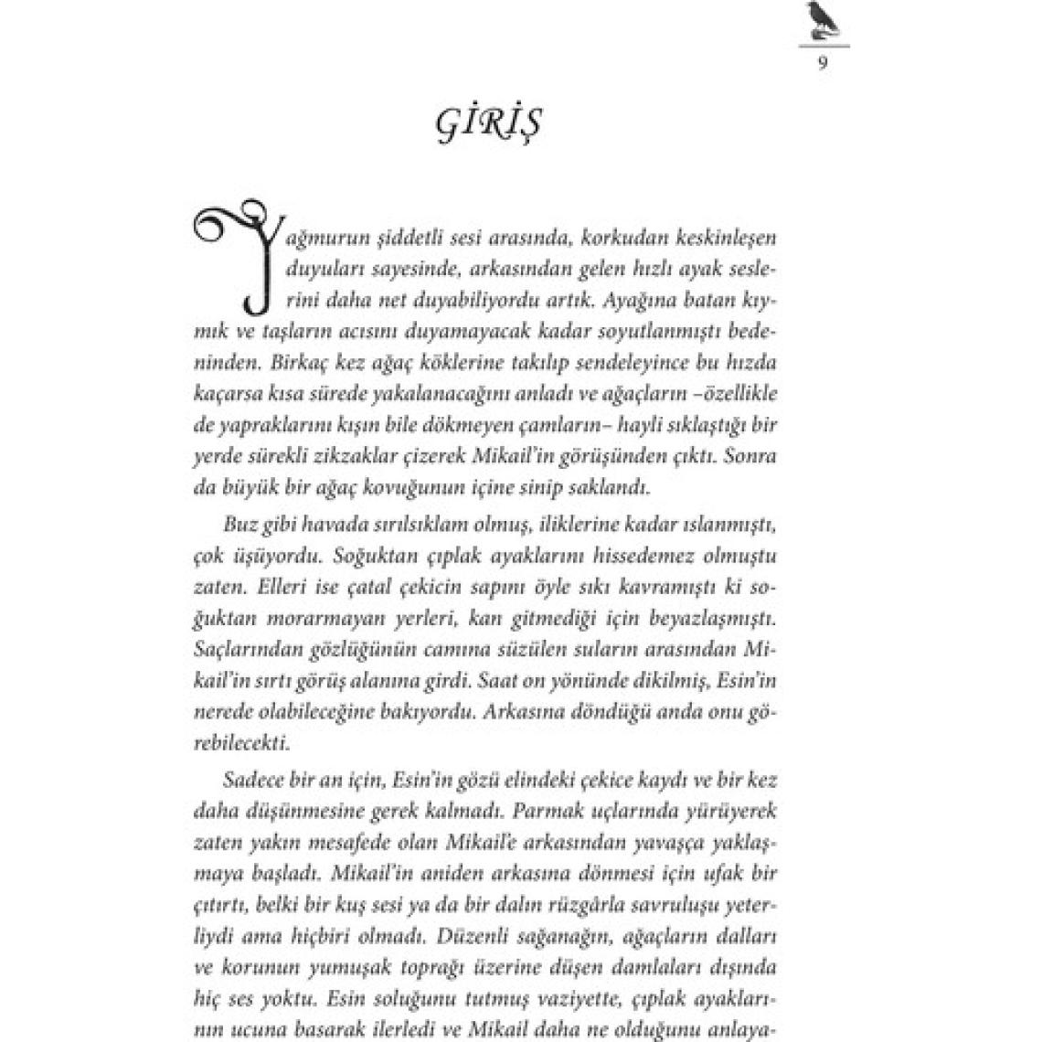 Bütün Kuzgunlar Siyahtır - Gülsen Kılıçaslan