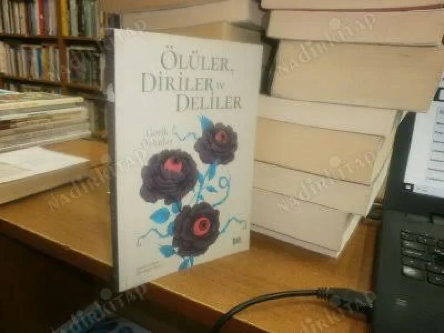 Ölüler-Diriler Ve Deliler: Gotik Öyküler
