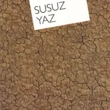Susuz Yaz - Necati Cumalı