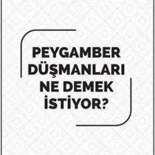 Peygamber Düşmanları Ne Demek Istiyor?