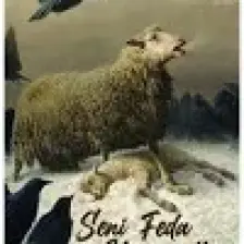 Seni Feda Etmeyeceğim - Nihan Kaya