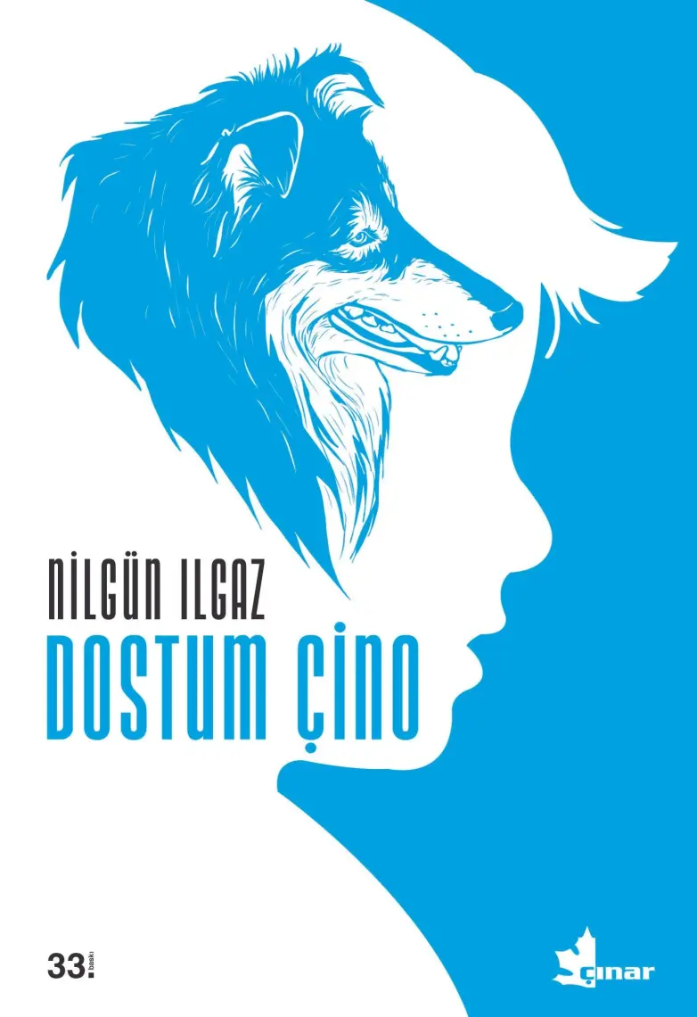 Dostum Çino - Nilgün Ilgaz