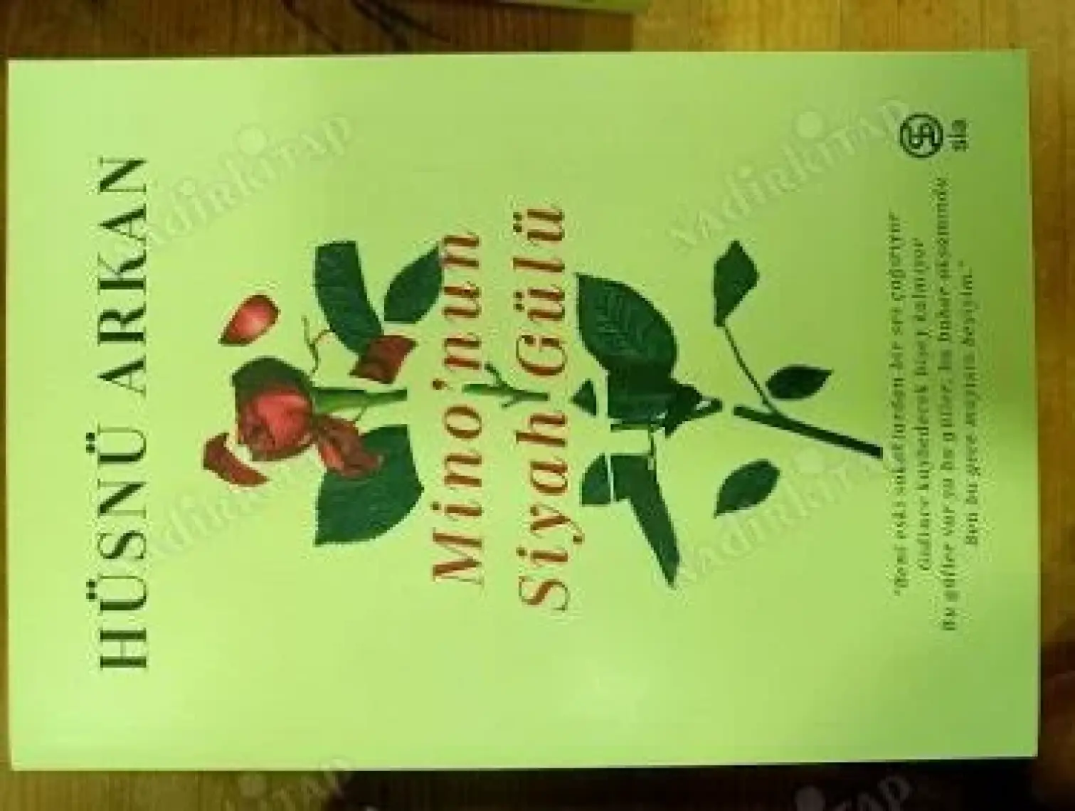 Mino’nun Siyah Gülü - Hüsnü Arkan