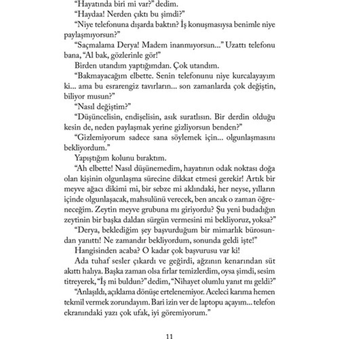 Son - Ayşe Kulin