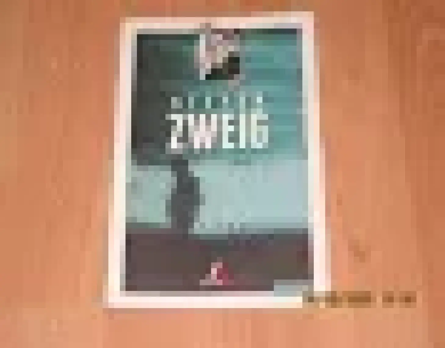 Kaçak - Stefan Zweig