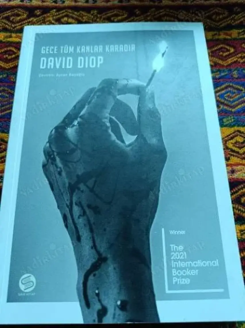 Gece Tüm Kanlar Karadır - David Diop