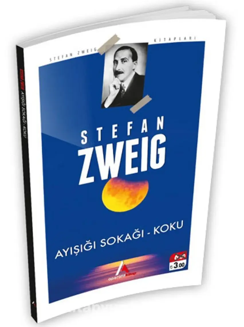 Ayışığı Sokağı - Stefan Zweig