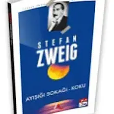 Ayışığı Sokağı - Stefan Zweig