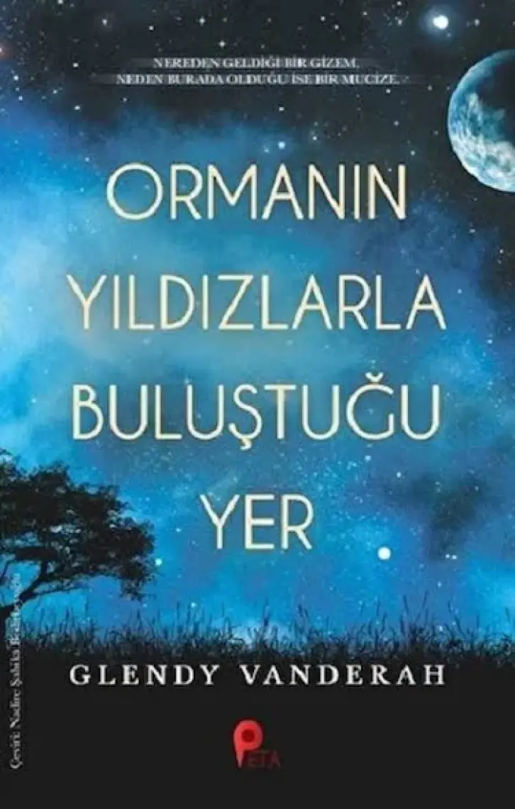 Ormanın Yıldızlarla Buluştuğu Yer - Glendy Vanderah