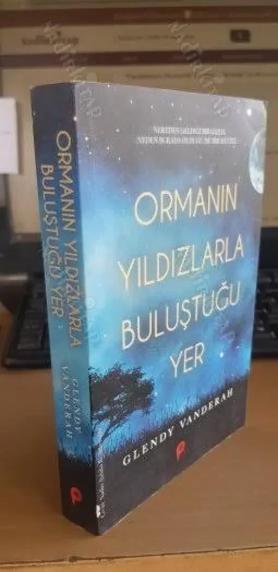 Ormanın Yıldızlarla Buluştuğu Yer - Glendy Vanderah