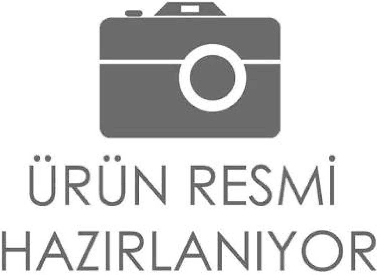 Deniz Kıyısında Koşan Ala Köpek - Cengiz Aytmatov