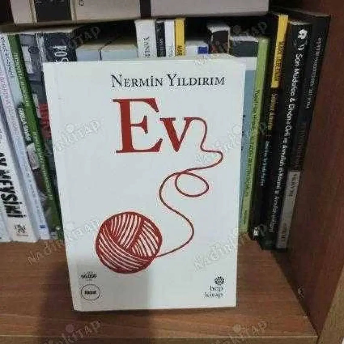 Ev - Nermin Yıldırım