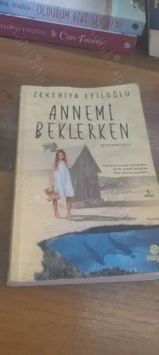 Annemi Beklerken - Zekeriya Efiloğlu