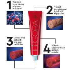 Royal Özel Seriler 0-00 Ekstra Doğal Sarı Saç Boyası 60ml