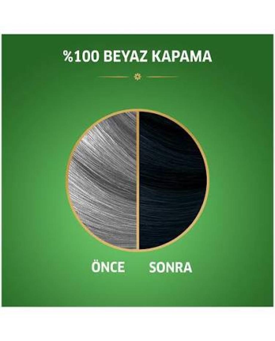 Wella Koleston Naturals 2/8 Böğürtlen Siyahı