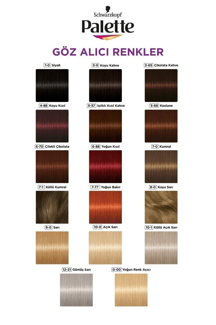 Palette 7-77 Yoğun Bakır X 2 Adet+Boyama Seti