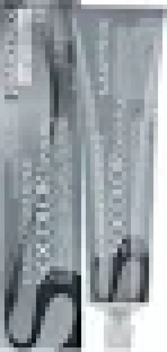 Matrix Socolor Beauty Tüp Saç Boyası 509G Yoğun Sarı Dore