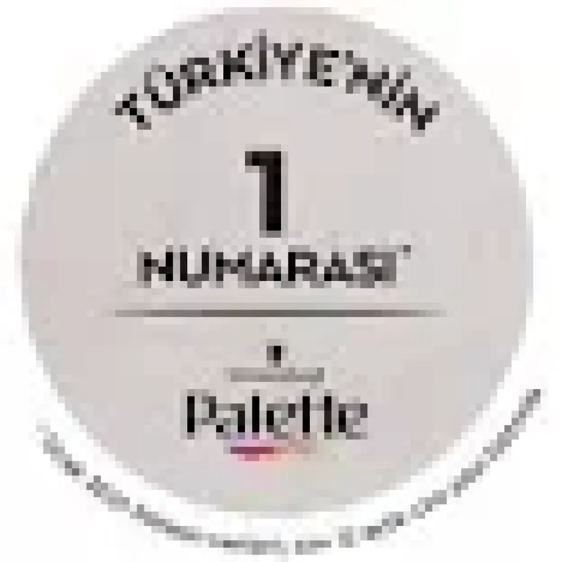 Palette 3-0 Koyu Kahve Saç Boyası