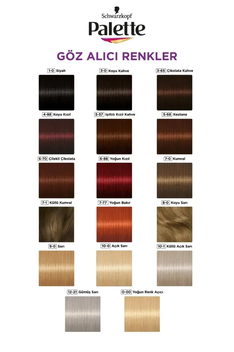 Palette 3-0 Koyu Kahve Saç Boyası