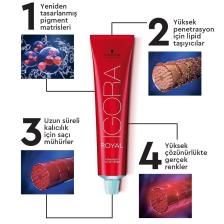 Schwarzkopf Igora Royal Saç Boyası 9,5-49 Transparan 60 ml