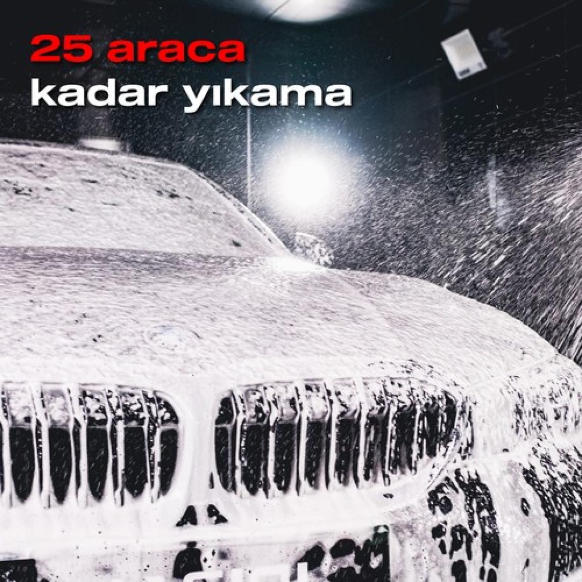 Nasiol Cleanion Pro New Formula Araç Konsantre Şampuan-500 Gr-Narenciye Kokulu, Fırçasız Oto Yıkama