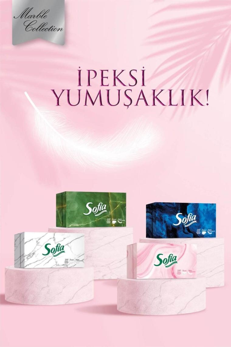 Kutu Mendil 100'lü