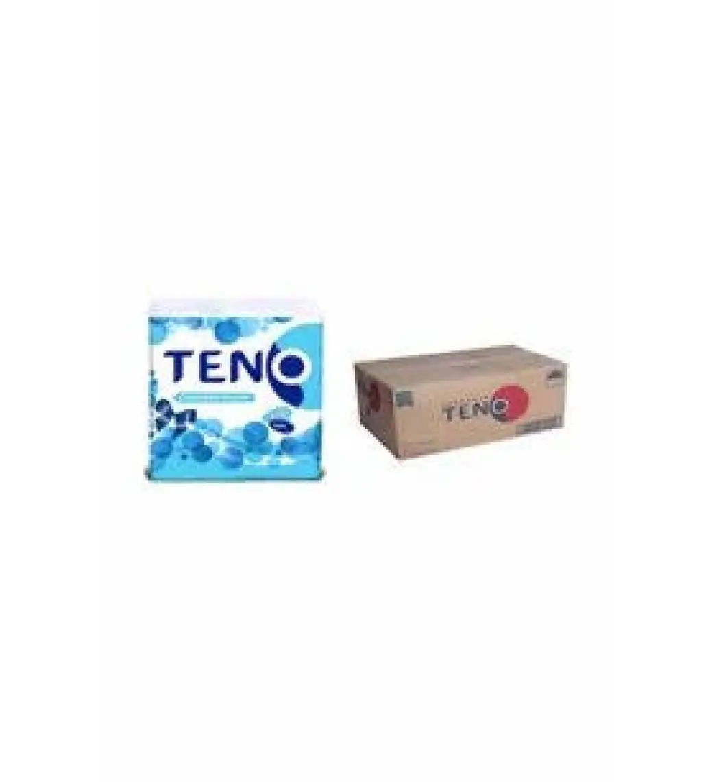 Teno Servis Peçete 100*32 Paket