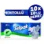 Selpak Mentollü Mendil 10 Lu Paket 10 Adet (100 Adet)