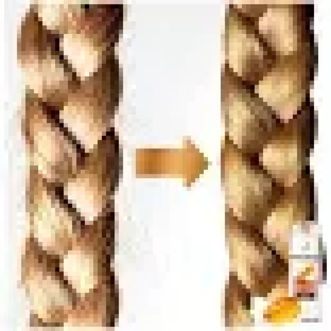 Pantene Saç Dökülmelerine Karşı Etkili 470 ml 3'ü 1 Arada Şampuan ve Saç Bakım Kremi