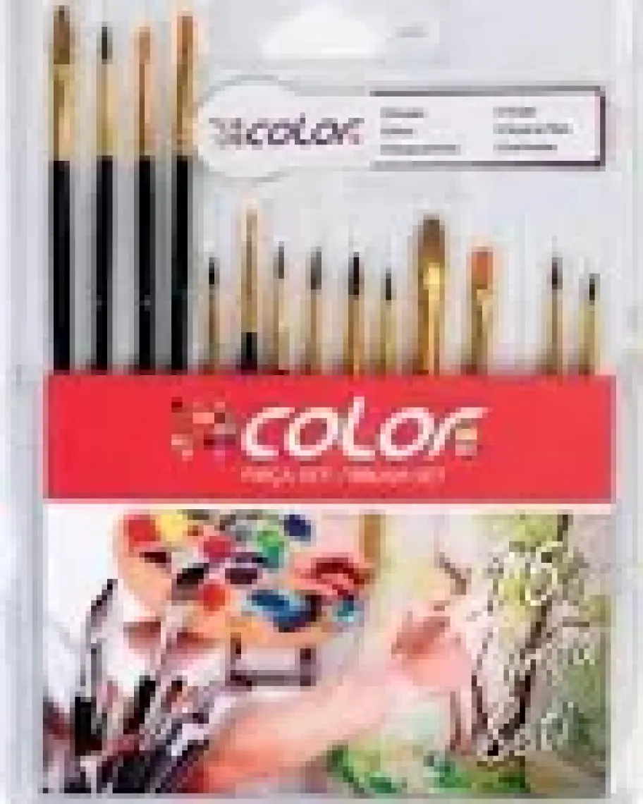 Colorbank 15'Li Fırça Seti