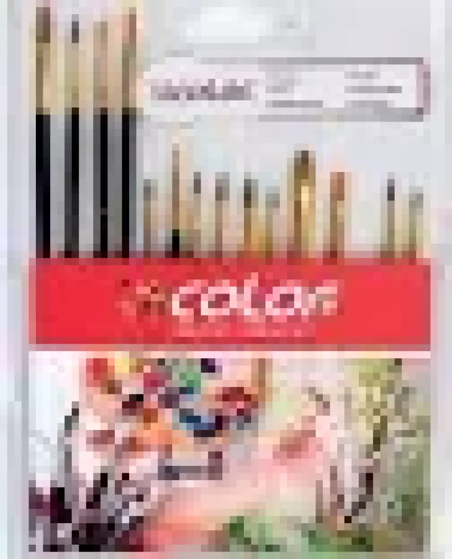Colorbank 15'Li Fırça Seti