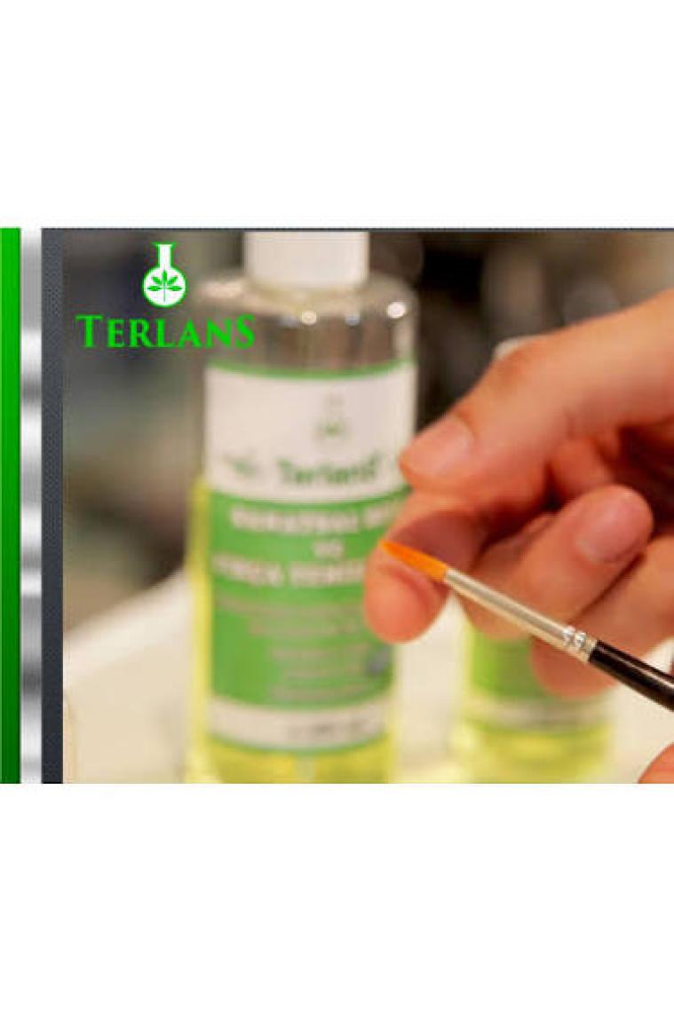 Terlans Sanatsal Boya ve Fırça Temizleyici 500 ml