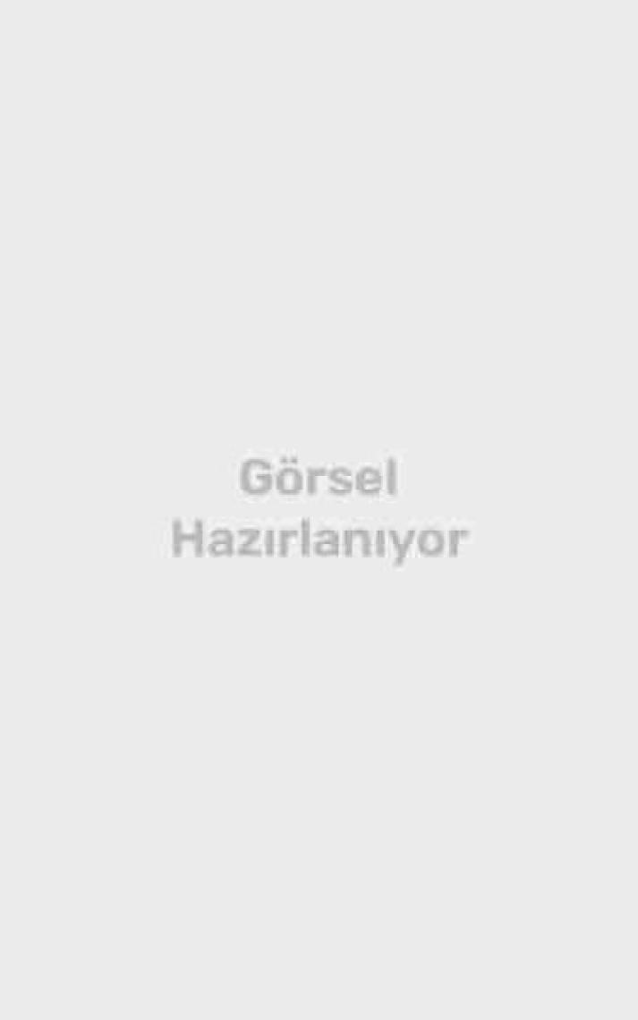 Bigpoint 113/4 Doğal Kıl Yelpaze Fırça