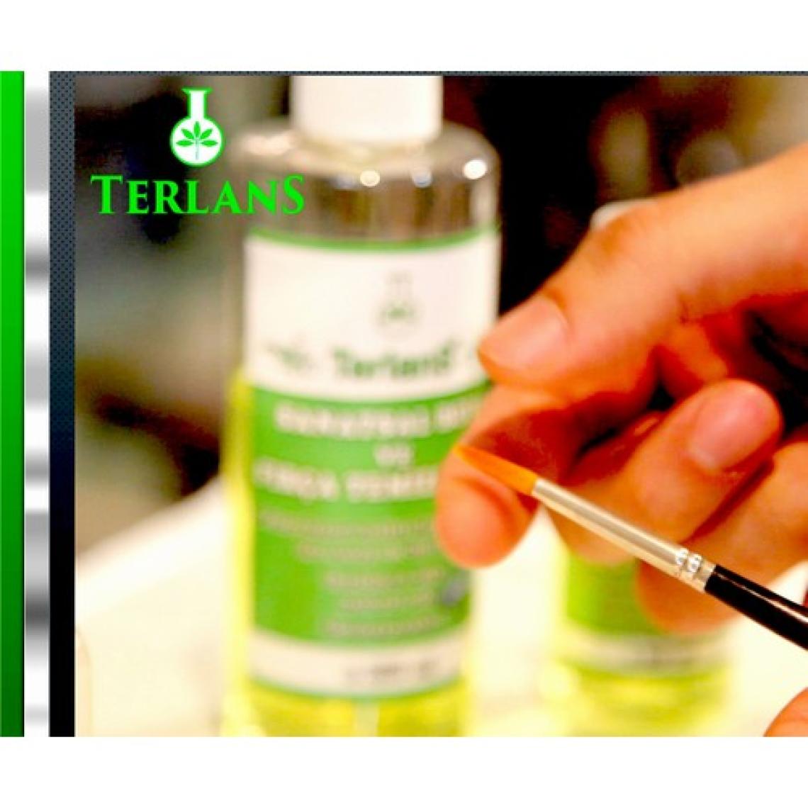 Terlans Sanatsal Boya ve Fırça Temizleme Jeli 250 ml