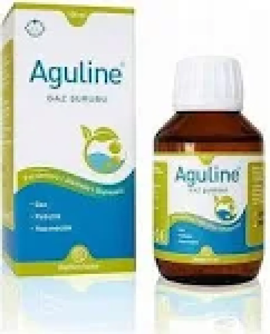 Aguline Bitkisel Gaz Şurubu 100 Ml - Rezene, Zencefil, Anason, Dereotu, ve Kimyon Yağları İçeren Şurup