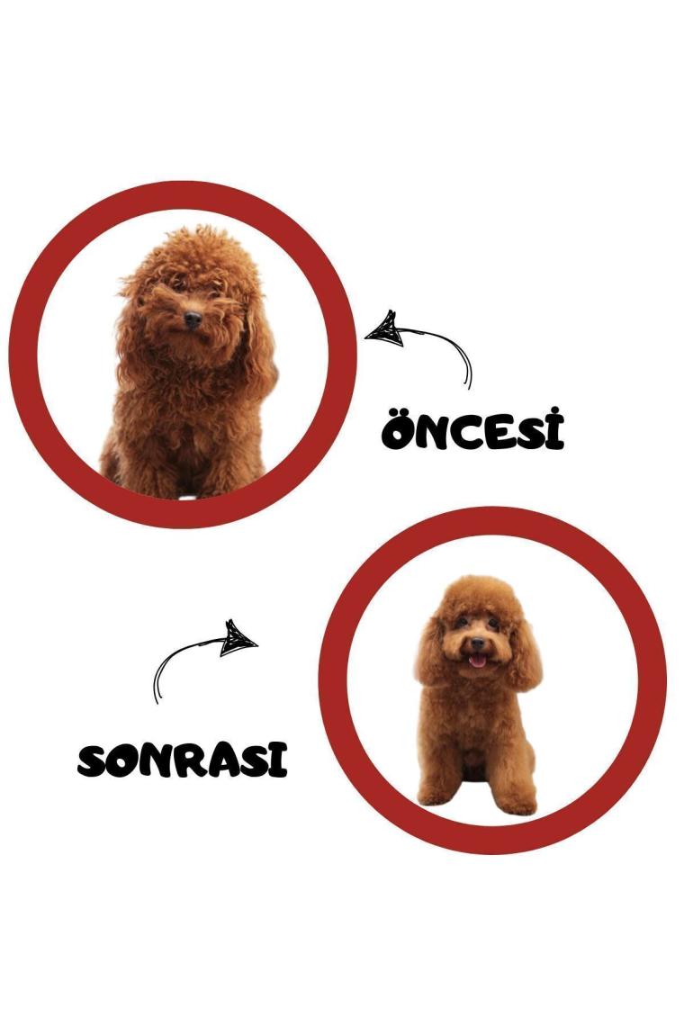 Pugalo Kedi Çilekli Köpük Şampuan