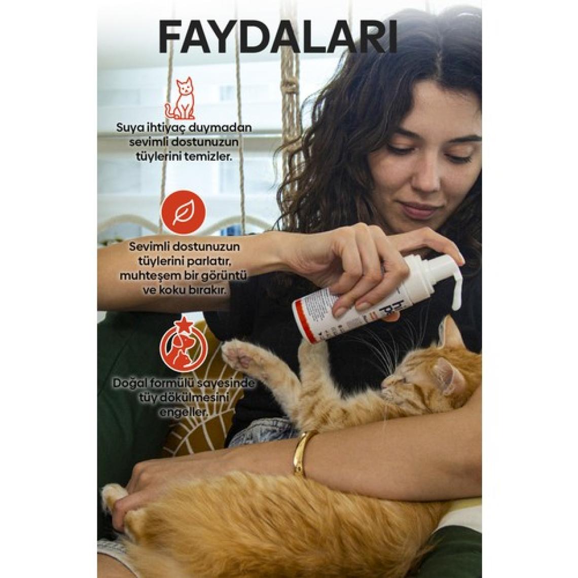 HiPet Kedi Kuru Şampuan