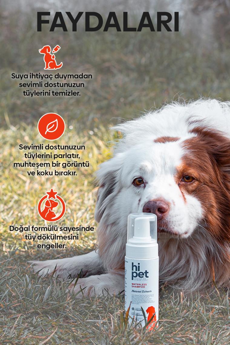 Köpek Kuru Şampuan