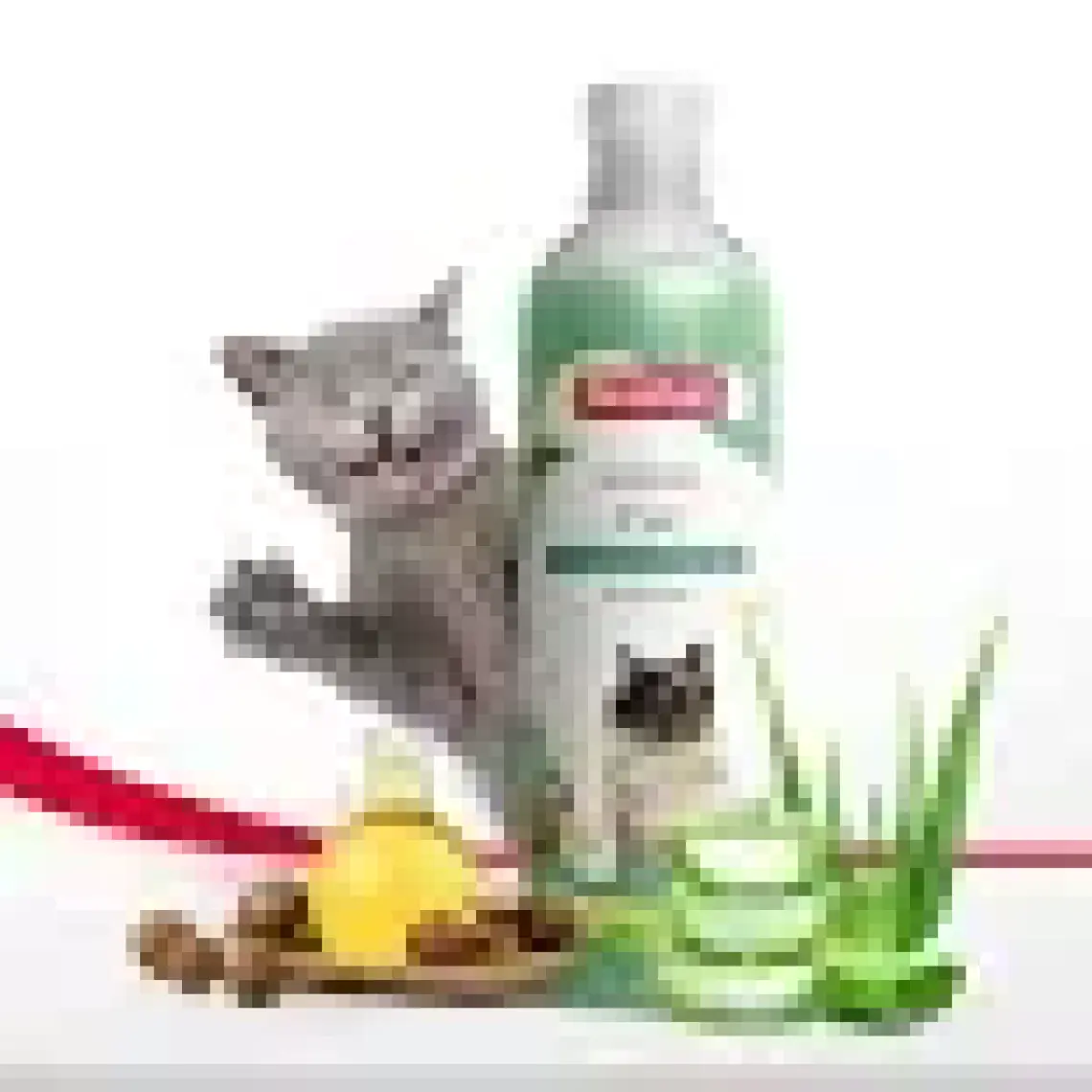 Beaphar Kediler İçin Macademia Özlü  Şampuan  250 Ml